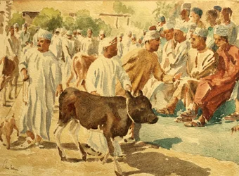 Cattle Market, Nizwa, Oman