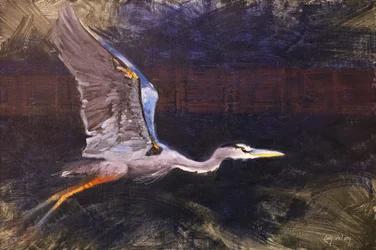 Blue Heron in Flight