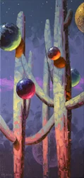 Saguaro Celestial Night