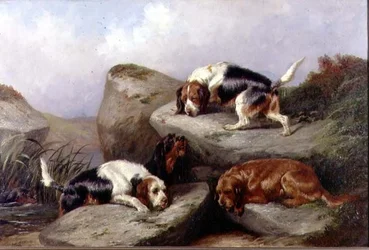 Otterhounds, 1889