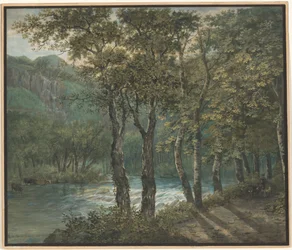 Sunlight Filtering through Trees along the River Sihl