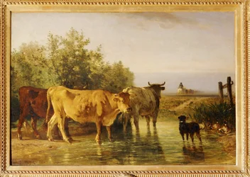 Herd passing the ford