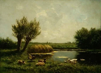 Duck Pond