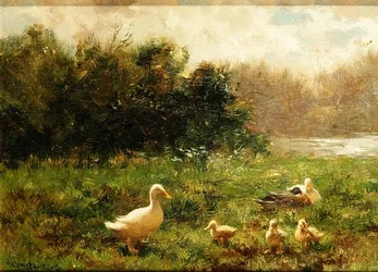 Duck and Ducklings on the Riverbank