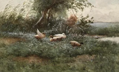Ducks by a Pond