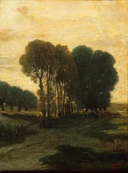 A Clump of Trees