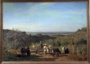 Harvest on the Banks of the Seine at Suresnes