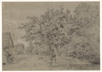 Old Tree by a Farmhouse