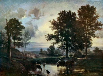 Watering Cattle