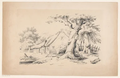 Farm and Two Trees (The Landscape)