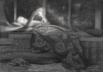 Cosmic Night Reading