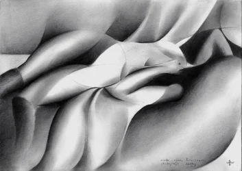Flowing Figure Study