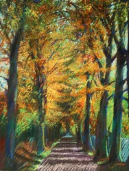 Golden Autumn Avenue