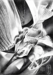 Hands in Light and Shadow