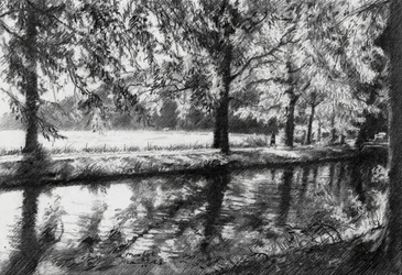 Peaceful River Reflections