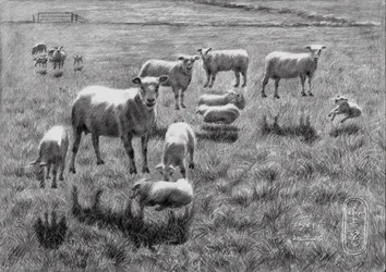Peaceful Sheep Pasture Drawing