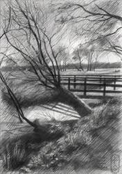 Rural Winter Landscape