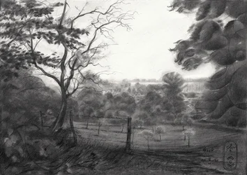 Serene Valley Landscape