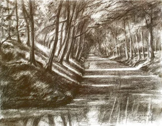 Shaded Canal Reflections