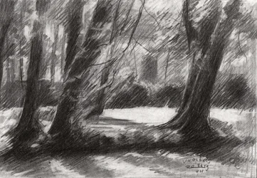 Tranquil Woodland Path