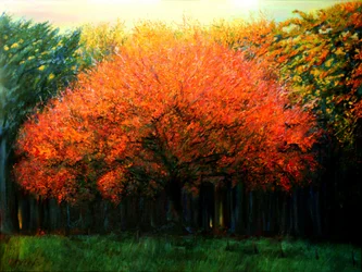 Vibrant Fall Tree