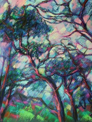 Vibrant Forest Canopy