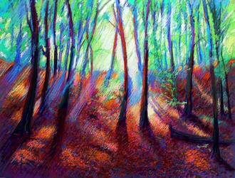 Vibrant Forest Light