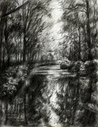 Winding Forest Path