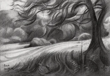 Winding Tree Path
