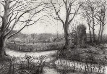 Winter Forest Path