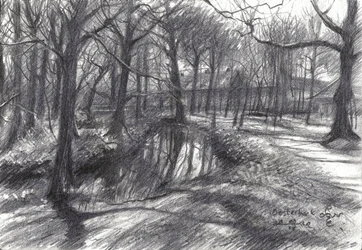 Winter Woodland Stream