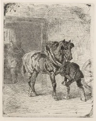 Horse Being Shod in a Blacksmith