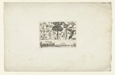 Row of Flowers Above Landscape (series title)