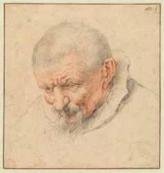 The Head of an Old Man