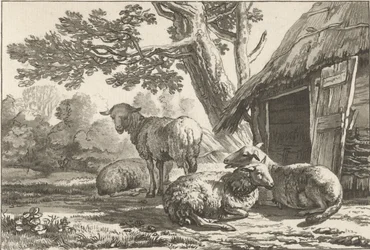 Sheepfold