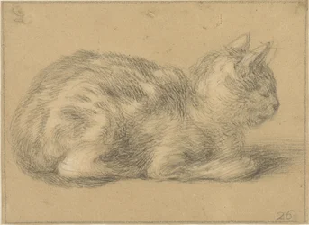 Seated Cat, Facing Right