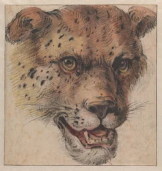 The Head of a Leopard