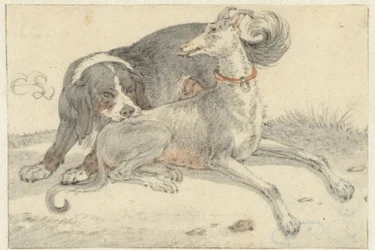 Greyhound and a partridge dog
