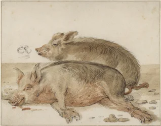 Two Pigs