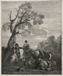 A Resting Herd
