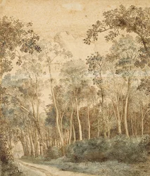 Wooded Landscape