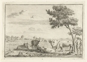 Five Cows in a Meadow