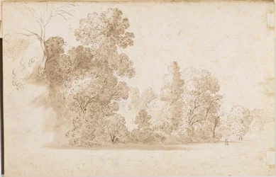 A wooded landscape