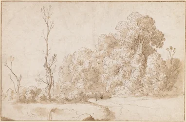 A wooded landscape
