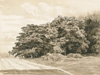 Wrottesley Hall - The Shrubbery, 1820