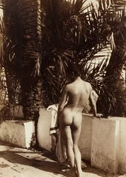 Male Nude, 1890.
