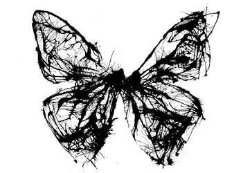 Black Butterfly, 2021