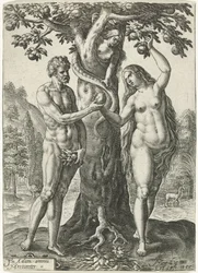 The Fall of Man