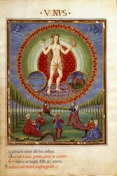 Comedy with the Zodiac Signs of Libra and Taurus