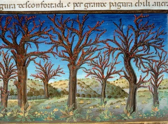 The End of the World: The Trees Will Be Covered with Blood